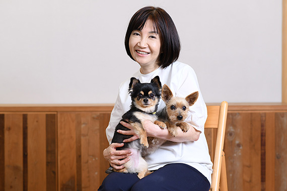 左:ロングコートチワワのビビ(犬猫譲渡センターの看板犬) 右:ヨーキーのマリさん(池田先生が里親になった保護犬)