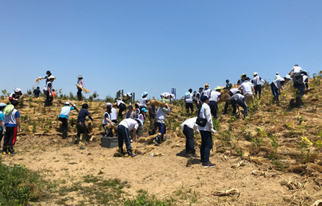 宮城県岩沼市「千年希望の丘、植樹祭」（2019年）